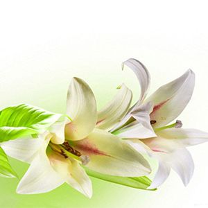 玻璃水杯