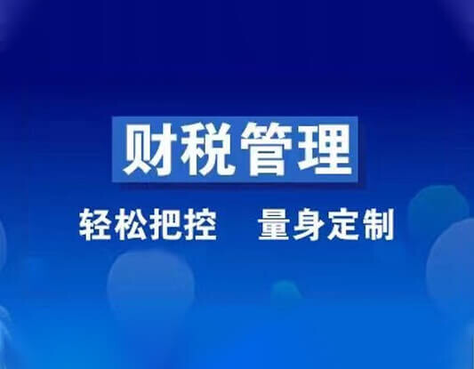 财税新化