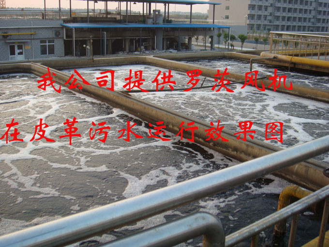 鑫冉环保提供罗茨风机运行效果