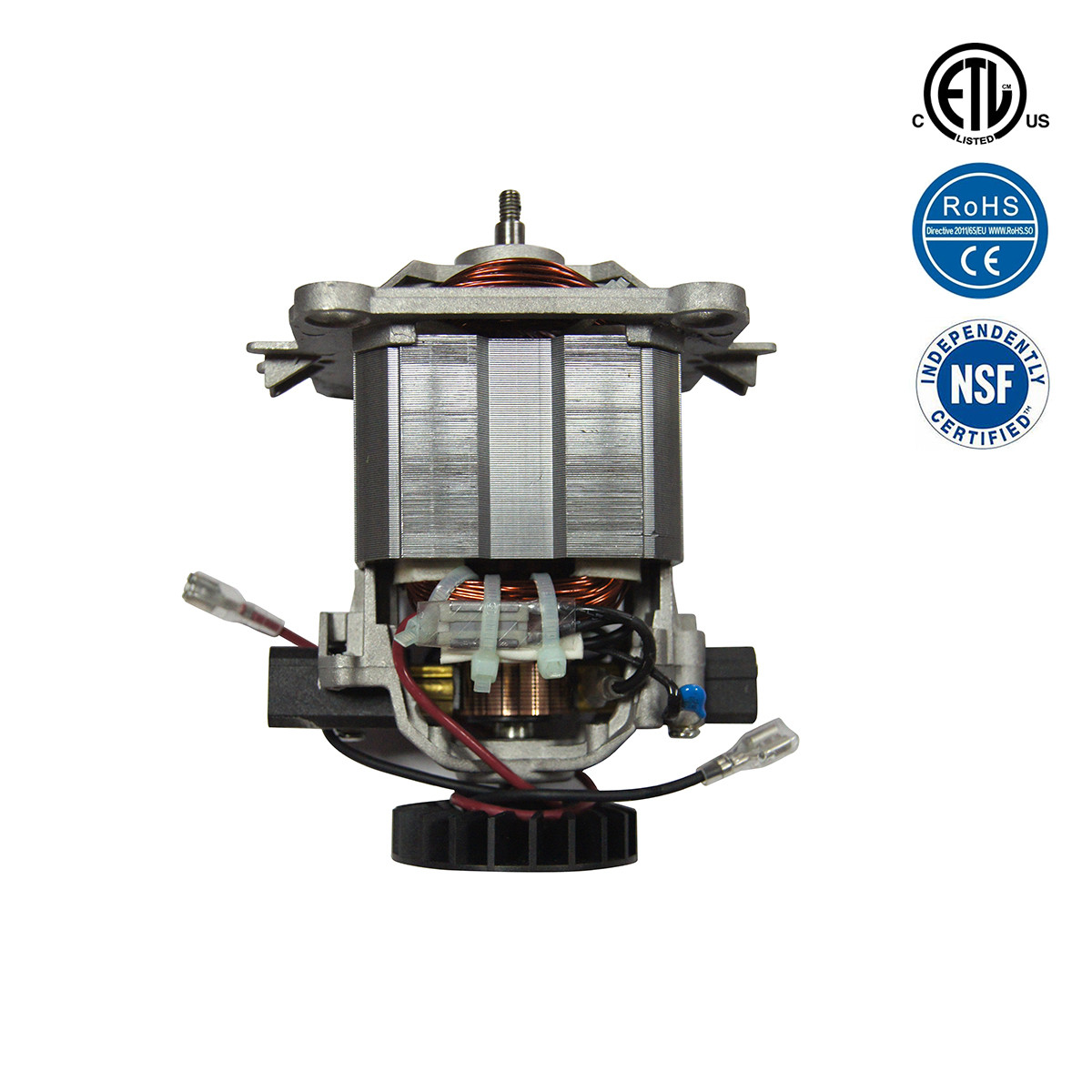 Motor