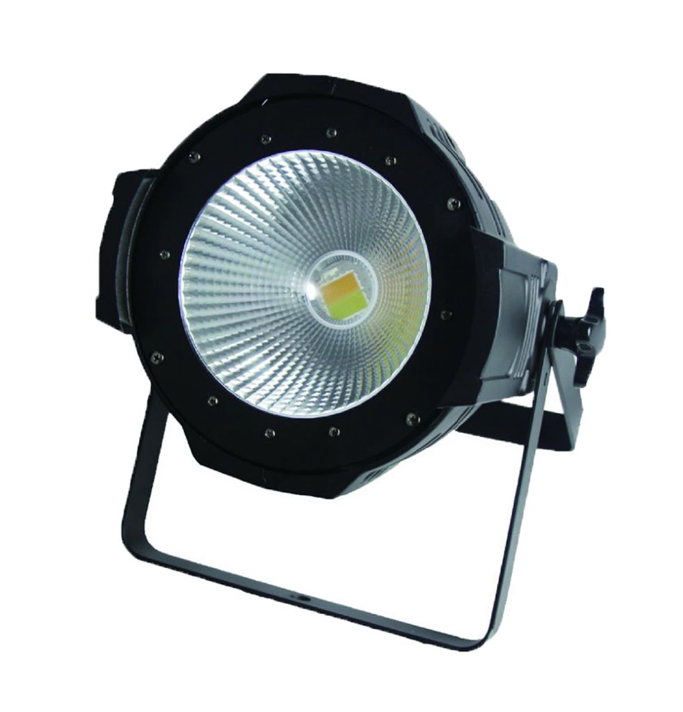 COB LED PAR LIGHT 100W WW/WC