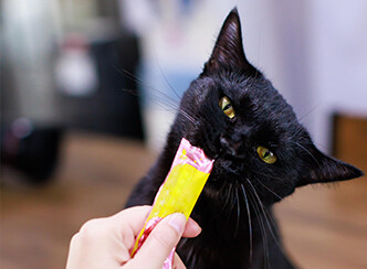 猫条包装机