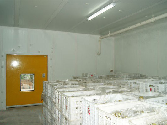 梨子保鲜气调冷库建造