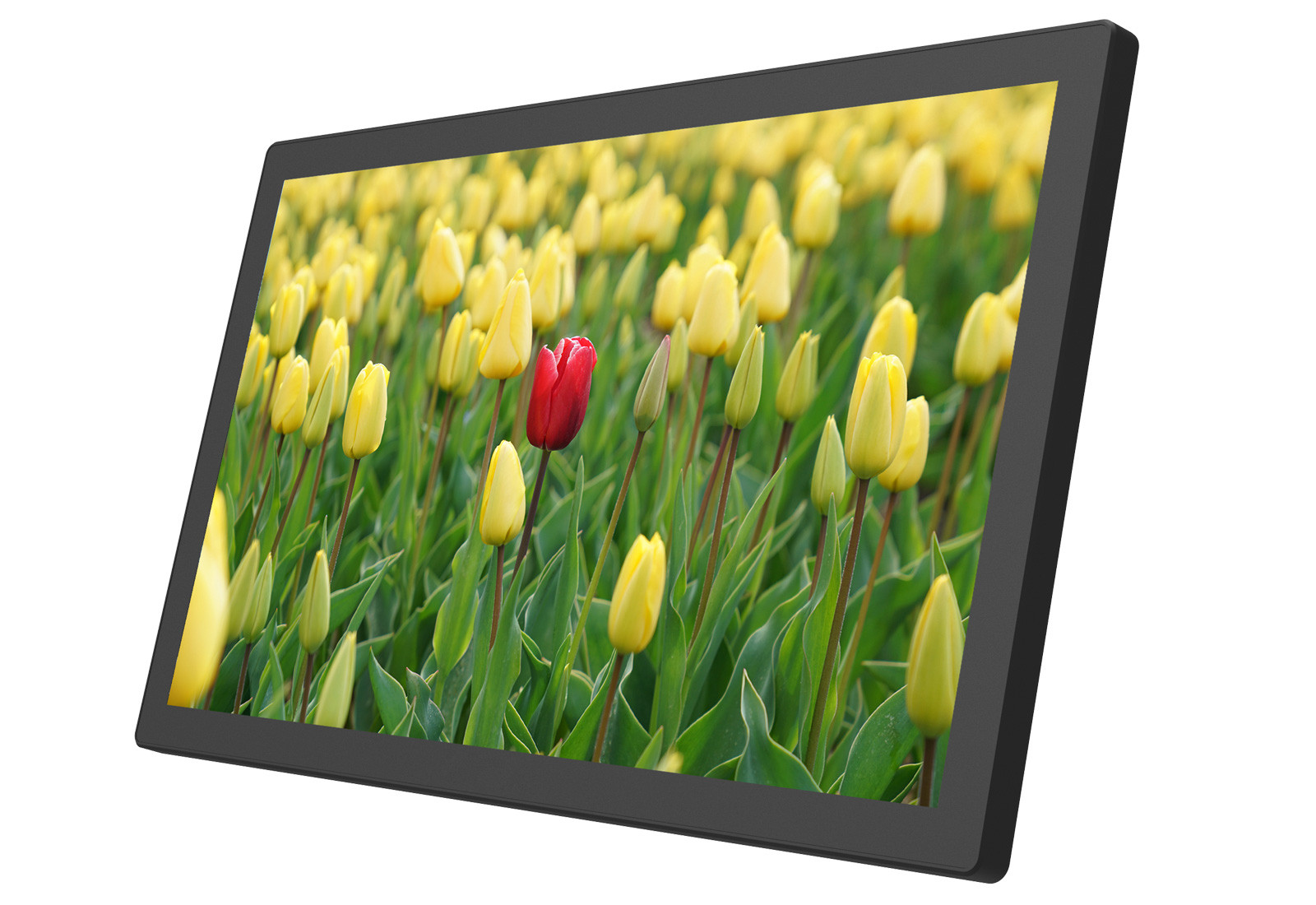 27” &31.5” Smart monitor